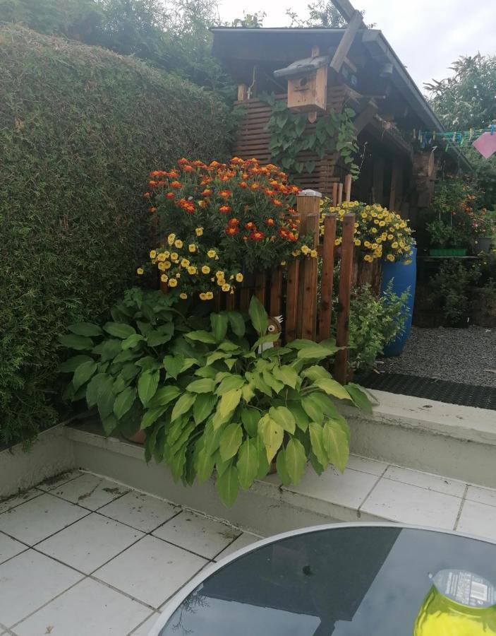 Ferienwohnung Grete Trevír Exteriér fotografie